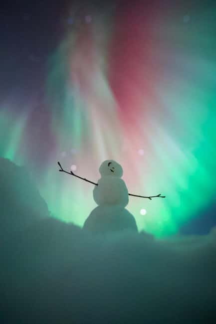 Rovaniemi: Northern Lights Group Tour with Guaranteed View - An Honest Look at the Northern Lights Tour from Rovaniemi