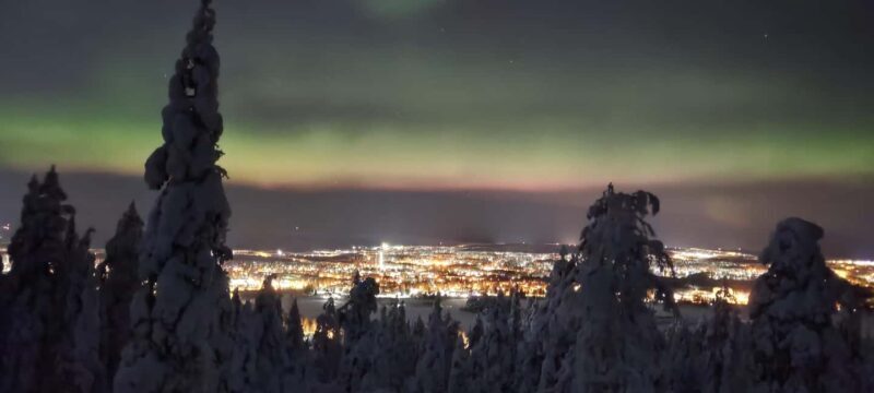 Rovaniemi: Northern Lights Hunt with Local Guides - The Experience: What to Expect from the Tour