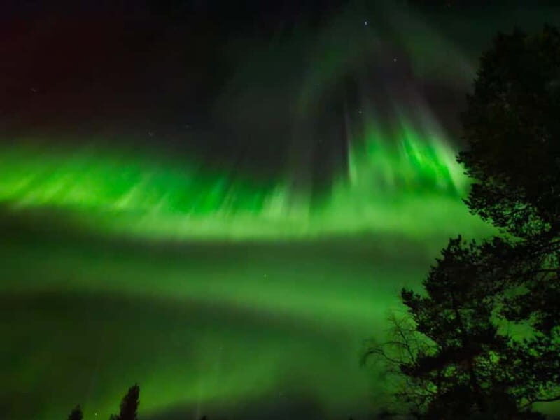 Rovaniemi: Northern Lights Hunters. Aurora + BBQ - Key Points