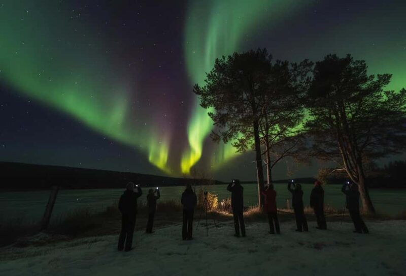 Rovaniemi: Northern Lights Magic Adventure - Key Points