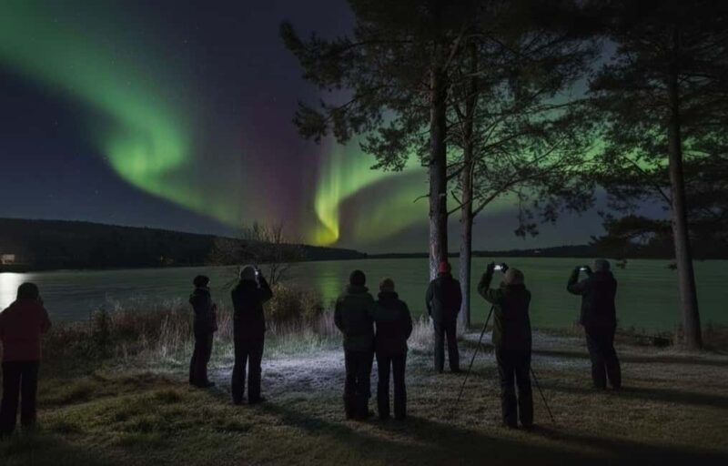 Rovaniemi: Northern Lights Magic Adventure - What’s the Experience Really Like?
