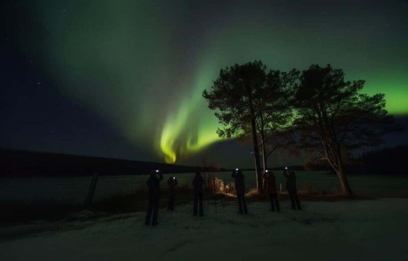 Rovaniemi: Northern Lights Magic Adventure - Comparing to Similar Tours