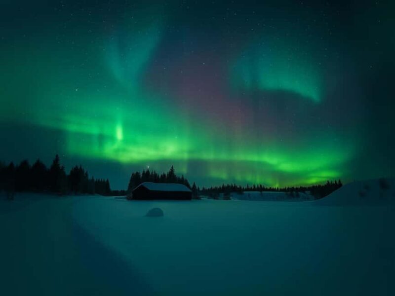 Rovaniemi: Northern Lights Magic Adventure - The Sum Up