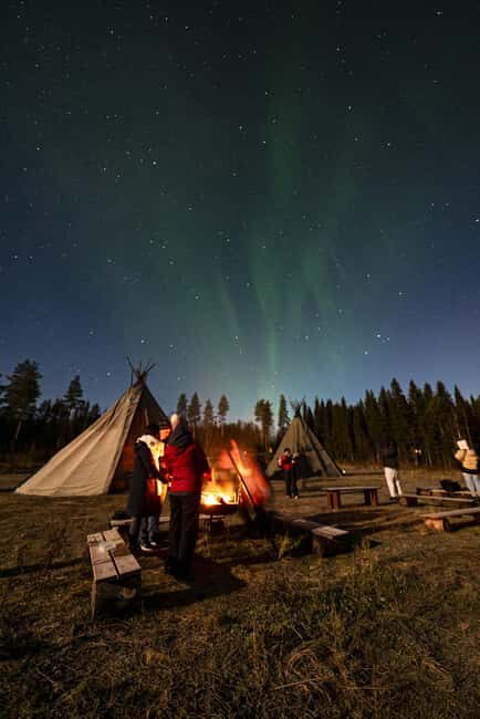 Rovaniemi: Northern Lights Photography Tour & BBQ - Who Is This Tour Best For?