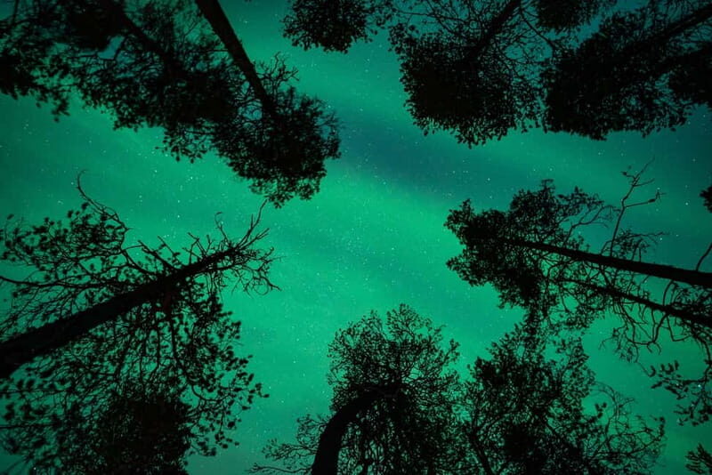 Rovaniemi: Northern Lights Quad Bike Tour - Final Thoughts