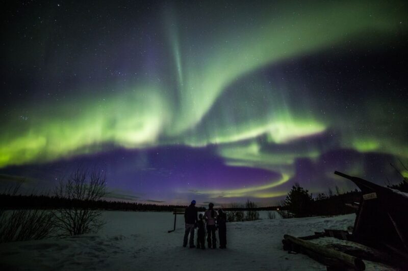 Rovaniemi: Northern Lights Sledge Ride - What to Expect from the Sledge Ride Experience
