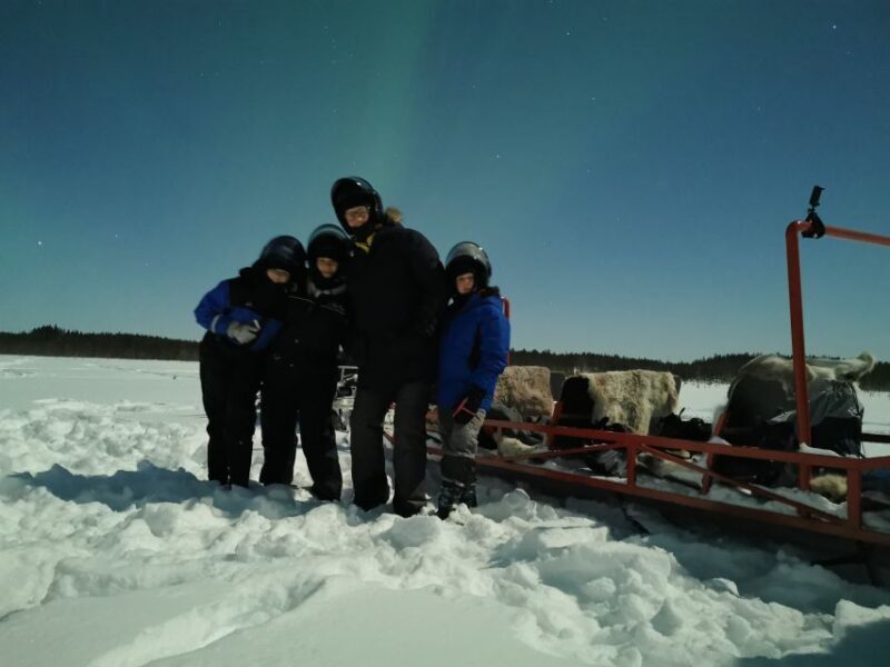 Rovaniemi: Northern Lights Sledge Ride - The Sum Up: Is This Tour Right for You?