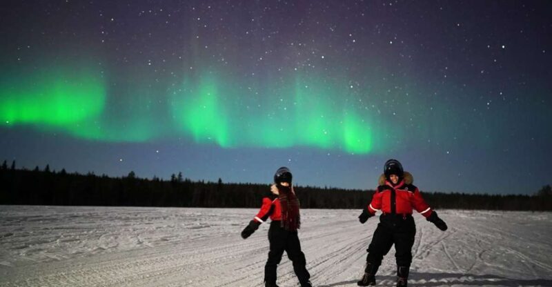 Rovaniemi: Northern Lights Sleigh Ride - The Experience: What to Expect from the Tour