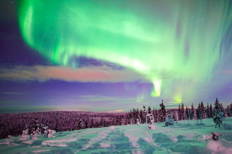 Rovaniemi: Northern Lights Snowmobile Tour - Rovaniemi: Northern Lights Snowmobile Tour