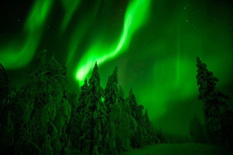 Rovaniemi: Northern Lights Snowmobile Tour - Final Thoughts