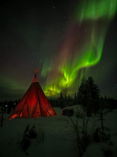 Rovaniemi: Northern Lights Tour at the Campfire - The Cost and Value