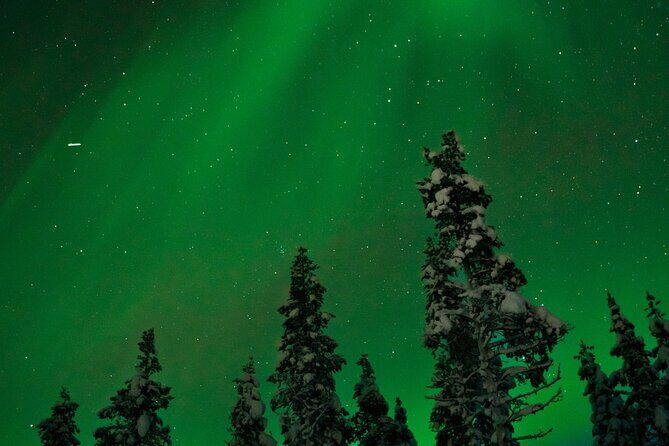 Rovaniemi: Northern Lights Tour - The Experience in Detail