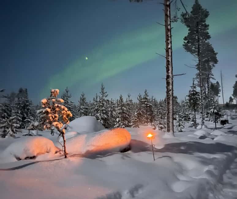 Rovaniemi: Northern Lights Tour with Finnhorses Sleigh Ride - Who Is This Tour Best For?