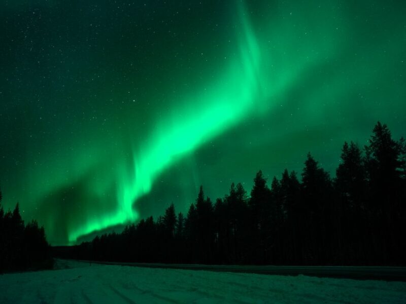 Rovaniemi: Northern Lights Tour with Guaranteed Sightings - What Makes This Tour Stand Out
