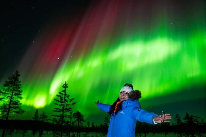 Rovaniemi: Northern Lights Tour with Guaranteed Viewings - Transportation and Group Size