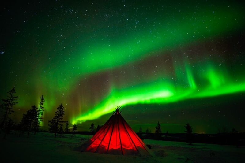 Rovaniemi: Northern Lights Wilderness Tour with Camera - Key Points