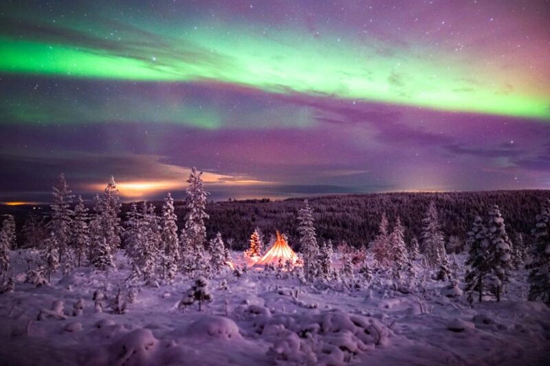 Rovaniemi: Northern Lights Wilderness Tour with Camera - What to Expect on the Tour