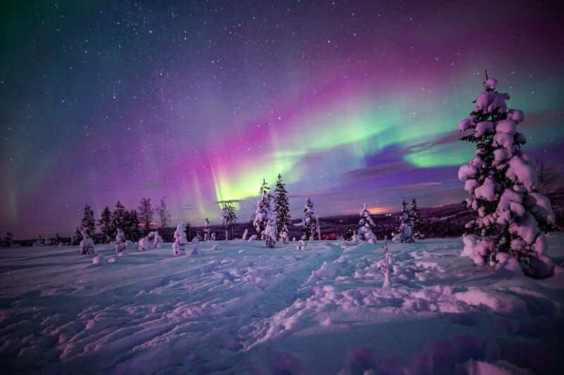 Rovaniemi: Northern Lights Wilderness Tour with Camera - The Guides and Their Role