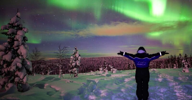 Rovaniemi: Northern Lights Wilderness Tour with Camera - The Practical Side: Transportation, Timing, and Group Size