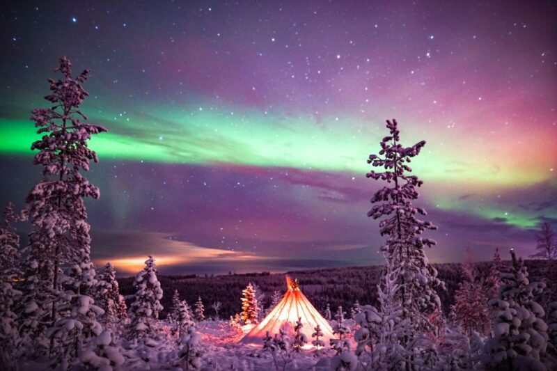 Rovaniemi: Northern Lights Wilderness Tour with Camera - Is It Worth the Cost?