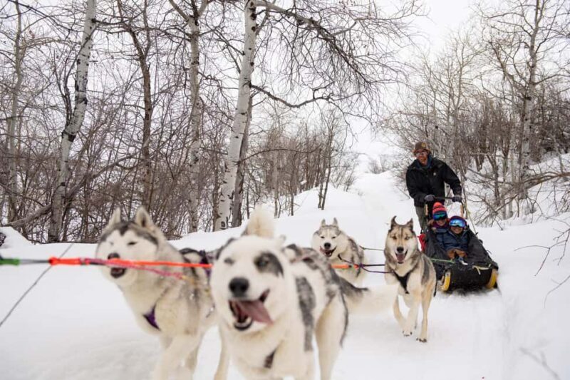 Rovaniemi: One Hour Husky Trip with hotel pick up - FAQs