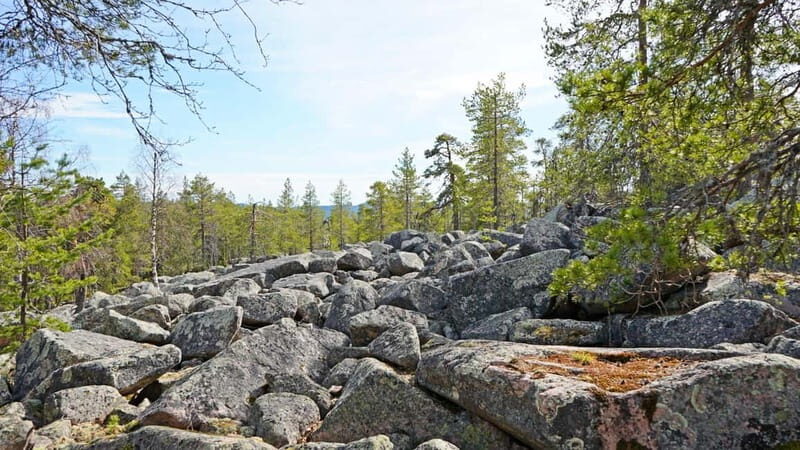 Rovaniemi: Övertorneå and Aavasaksa Hill. History and Nature - FAQ