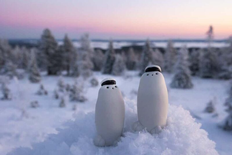 Rovaniemi: Posio Day Trip with Ceramics & Local Life - Key Points