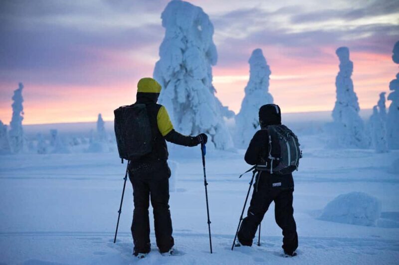 Rovaniemi: Private 3h Snowshoeing hike - Discovering the Lappish Wilderness: What to Expect