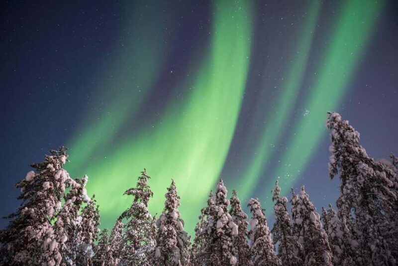 Rovaniemi: Private Aurora Adventure, Photos & Certificate - Key Points