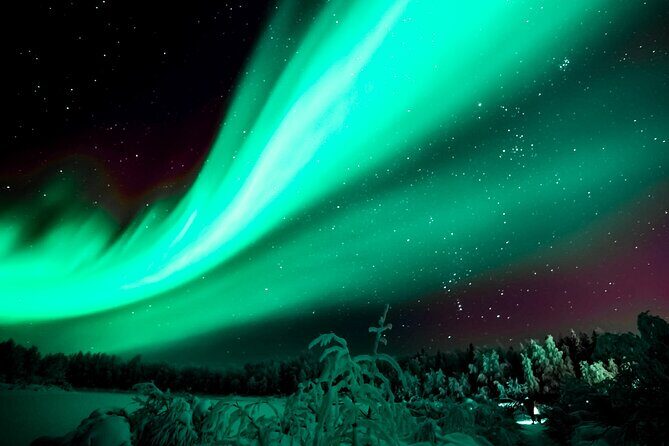 Rovaniemi: Private Aurora Tour with Guaranteed Sightings - What Makes This Aurora Tour Stand Out