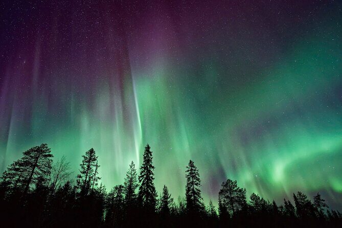 Rovaniemi: Private Aurora Tour with Guaranteed Sightings - Final Thoughts