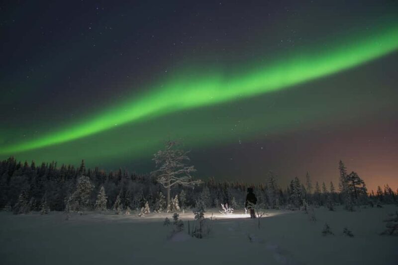 Rovaniemi: Private Northern Lights Tour - Key Points