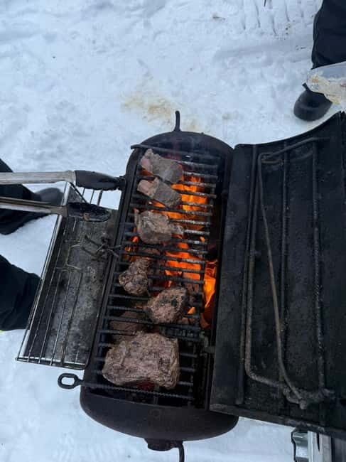 Rovaniemi: Private Snowmobile Trip With Local Guide - Key Points