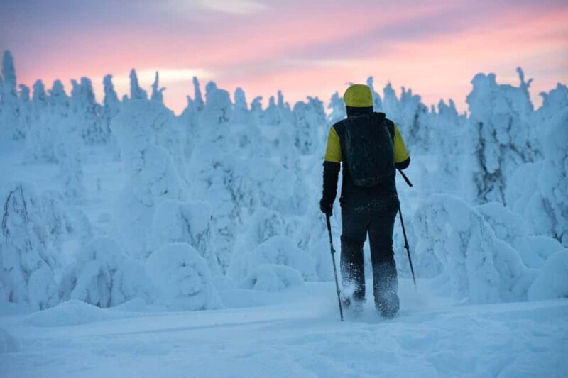 Rovaniemi: Private Snowshoeing and Ice Fishing Tour - What to Expect from this Arctic Adventure