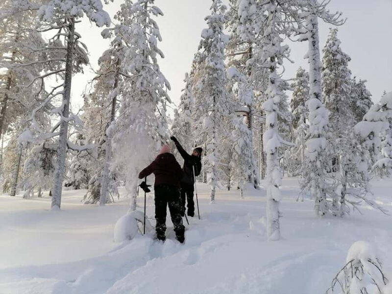 Rovaniemi: Private Snowshoeing and Ice Fishing Tour - The Experience and Its Value