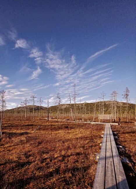 Rovaniemi: Pyhätunturi Guided Hike with Meal and Drinks - Key Points