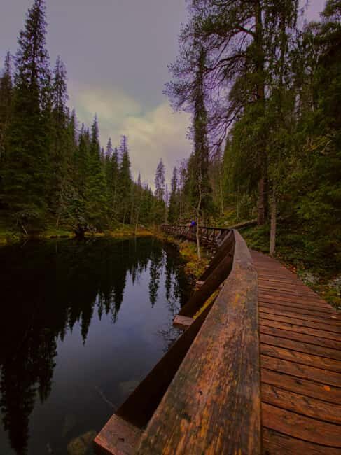 Rovaniemi: Pyhätunturi Guided Hike with Meal and Drinks - FAQ