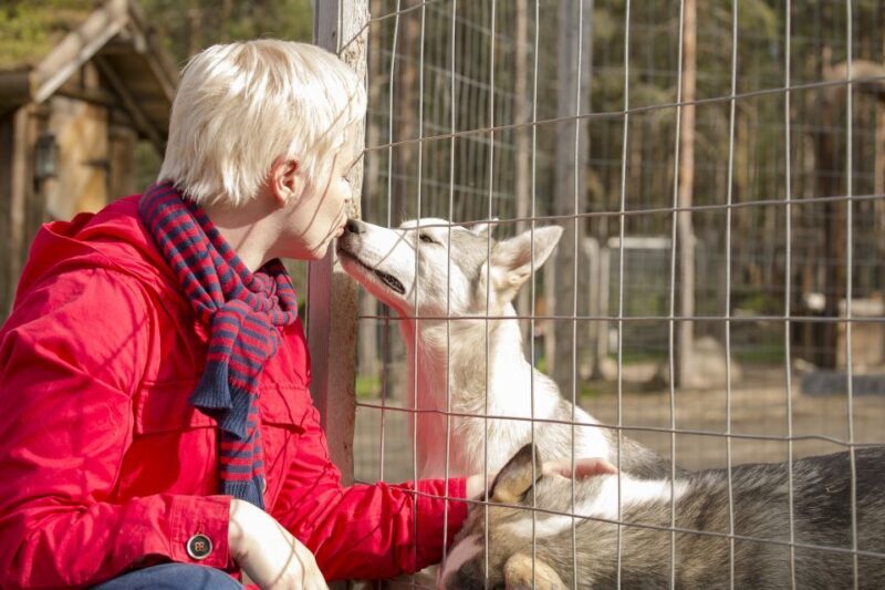 Rovaniemi: Quad Bike Safari, Reindeer & Husky Farm Visit - Key Points