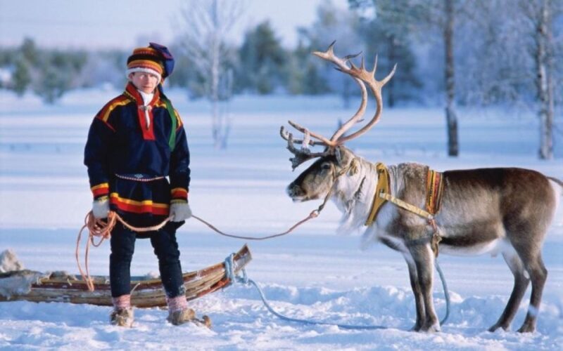 Rovaniemi: Reindeer Farm Tour with Sledge Ride & Pickup - Final Thoughts