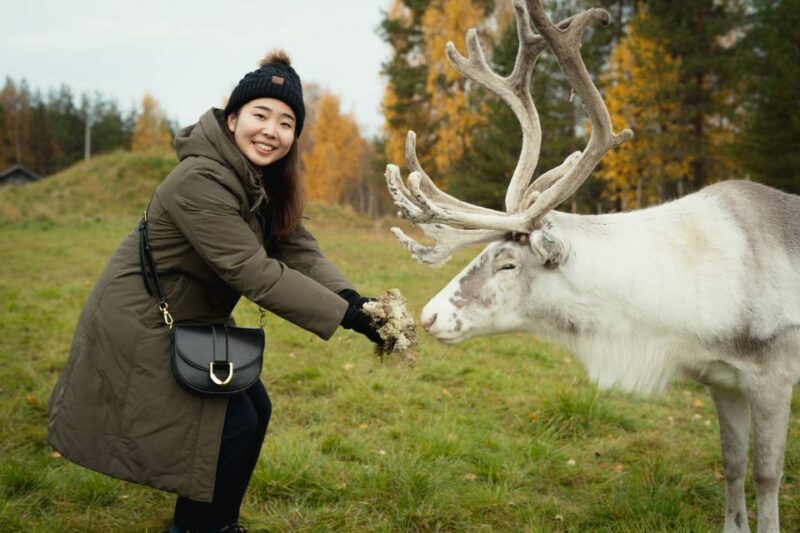 Rovaniemi: Reindeer Farm Visit with Photographer - Key Points