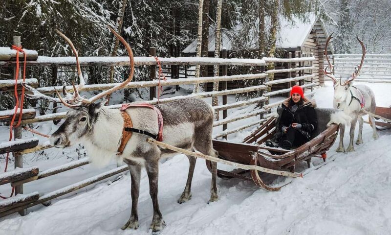 Rovaniemi: Reindeer Farm Visit with Sleigh Ride & Snacks - FAQ