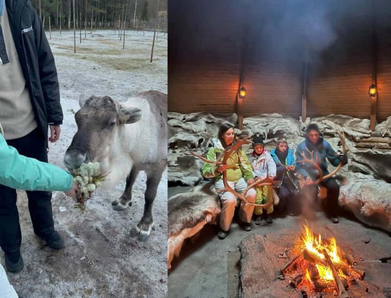 Rovaniemi: Reindeer & Husky Safari with Lunch - Practical Aspects and Considerations