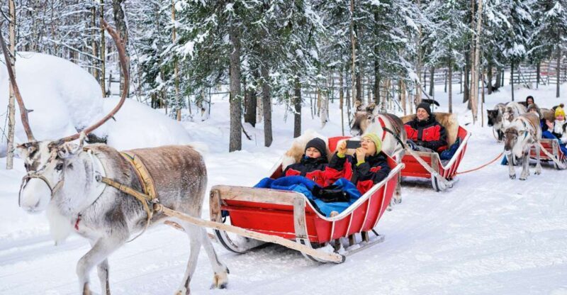 Rovaniemi: Reindeer Sleigh Ride with Hot Drink and Cookies - Key Points