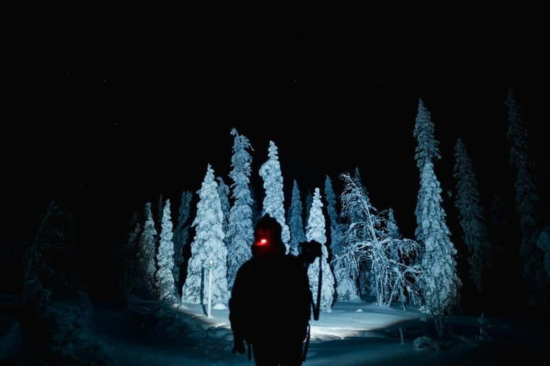 Rovaniemi: Riisitunturi National Park Night Photography Tour - Who Should Consider This Tour?