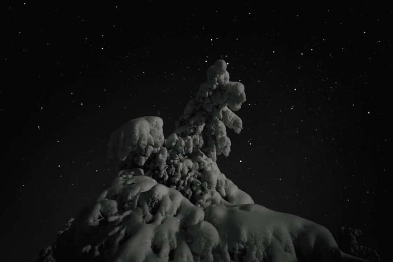 Rovaniemi: Riisitunturi National Park Night Photography Tour - Final Thoughts