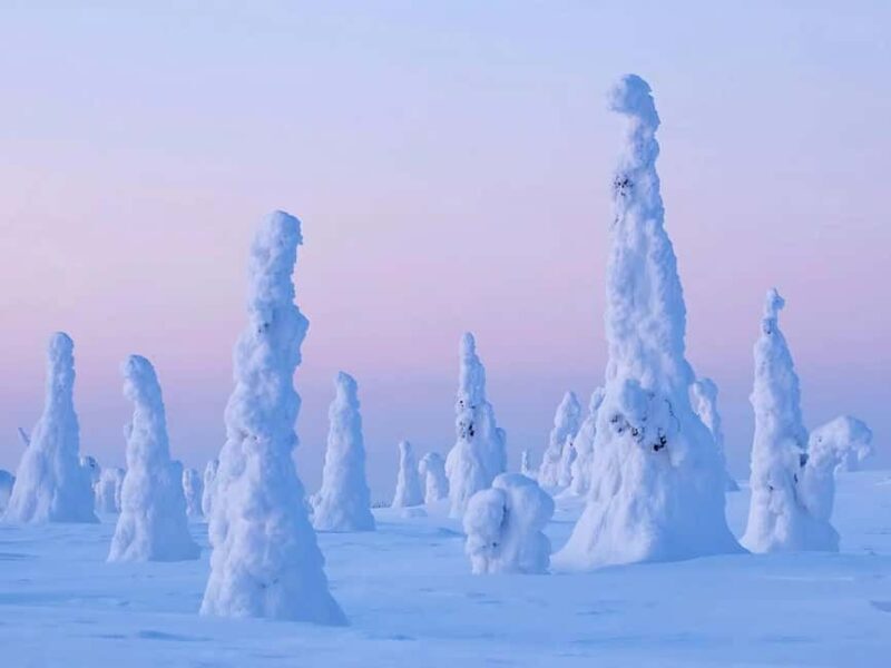 Rovaniemi: Riisitunturi Tykky Trees Wilderness Hike & BBQ - Final Views and Return