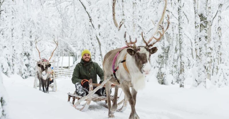 Rovaniemi: Saami Reindeer Farm Visit & Sleigh Ride - What to Expect from the Tour