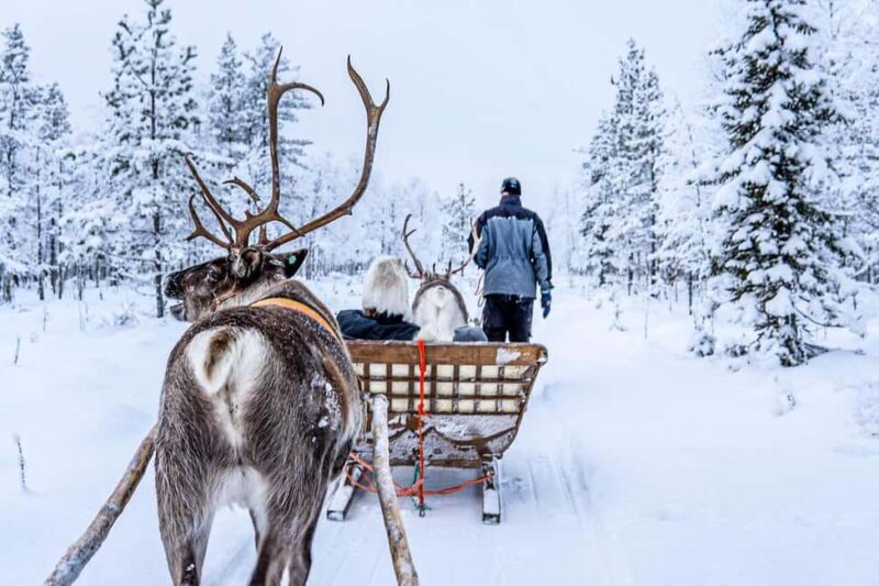 Rovaniemi: Saami Reindeer Farm Visit & Sleigh Ride - Final Thoughts
