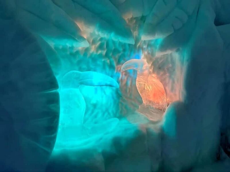 Rovaniemi: Santa Claus Village and Santa Park Day Trip - Final Thoughts