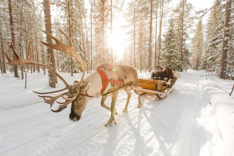 Rovaniemi: Santa Claus Village + Husky & Reindeer Sled Ride - Key Points